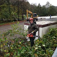 Achtung: Baum fällt