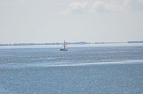 Chefsache: Wollen wir nicht nach New York ziehen?