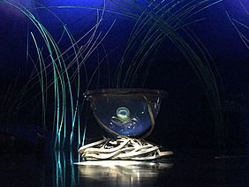 Chefsache: Was für ein Zirkus