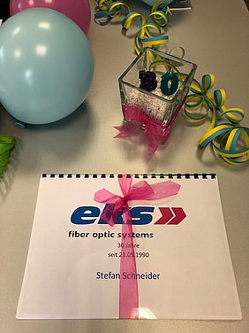 Stefan Schneider - 30 Jahre eks