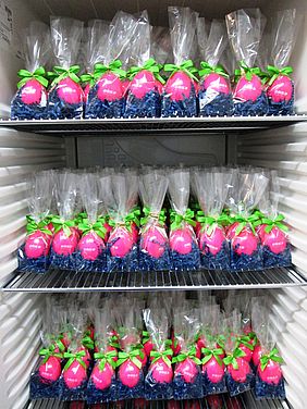 eks freut sich auf Ostern