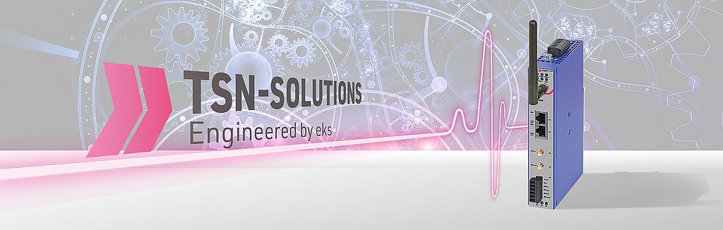 TSN-Analyzer